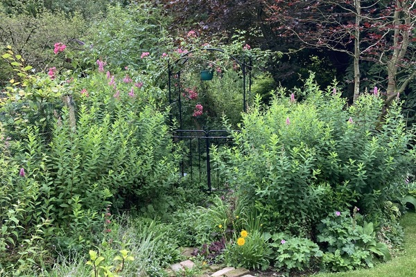 Área da propriedade