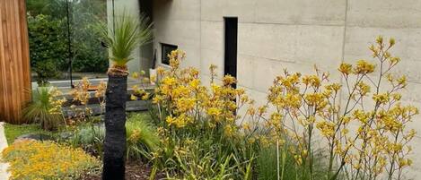 Terrein van de accommodatie