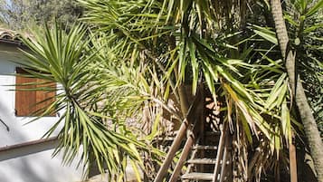 Jardines del alojamiento