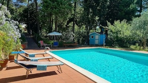Una piscina rectangular amb terrassa enrajolada, envoltada d'arbres i una petita caseta.