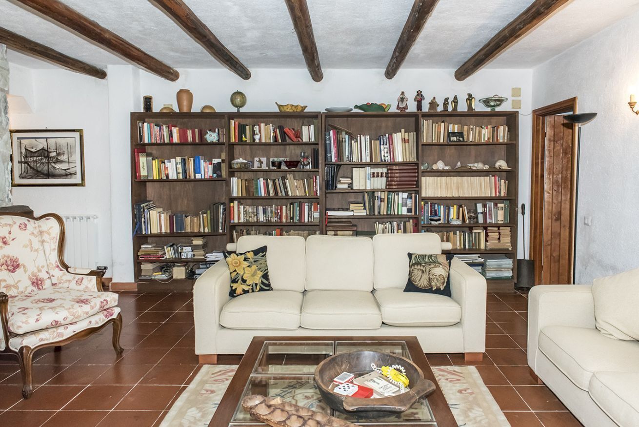 TV, caminetto