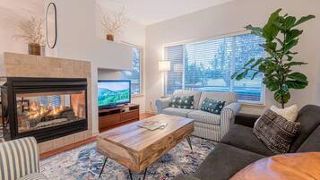 Televisor intel·ligent, llar de foc i llibres