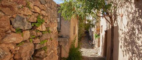 المنطقة المحيطة بالمنشأة