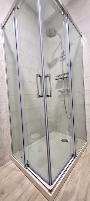 Shower, hair dryer, bidet, towels