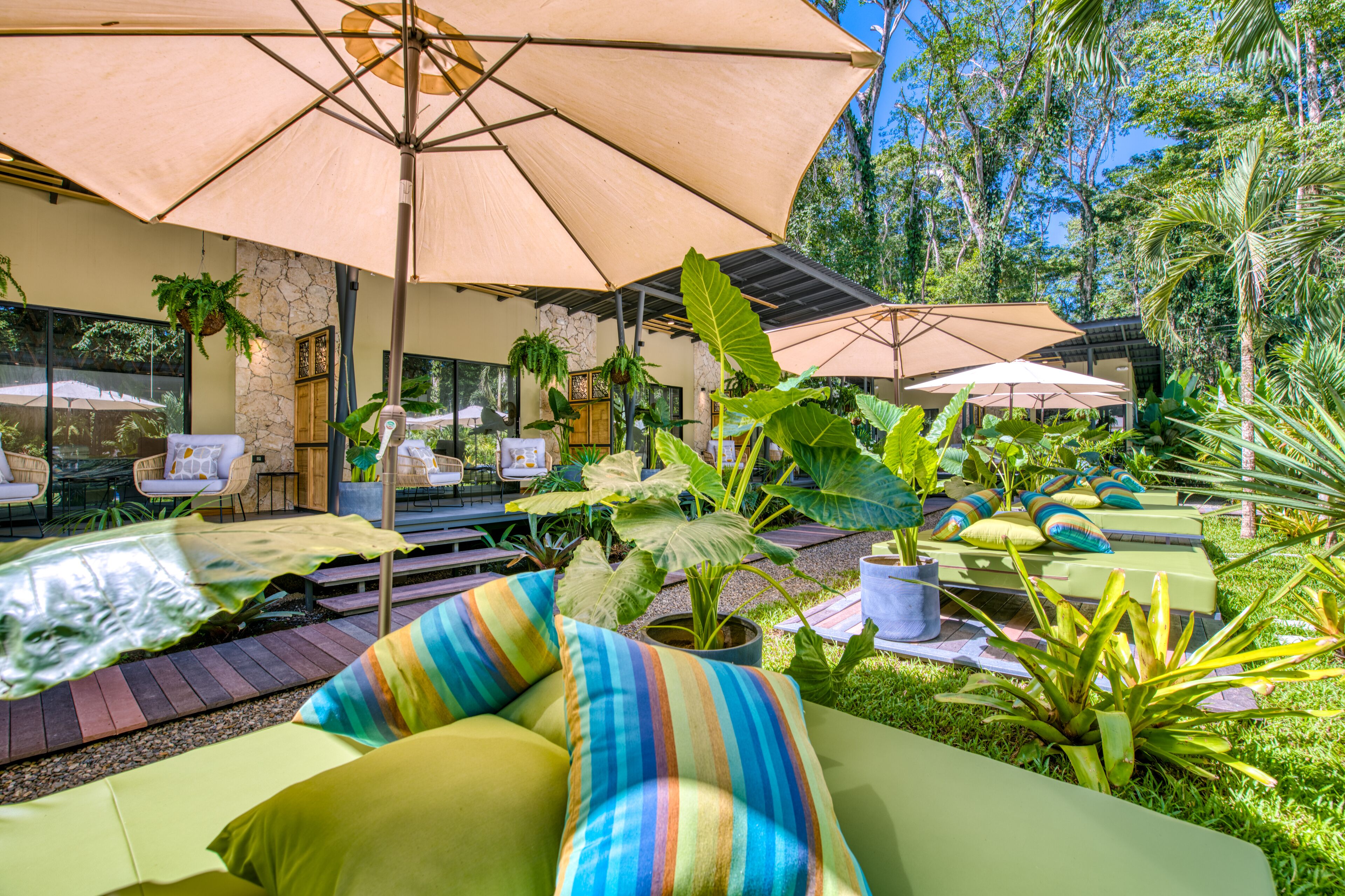 Habitación Deluxe | Terraza o patio