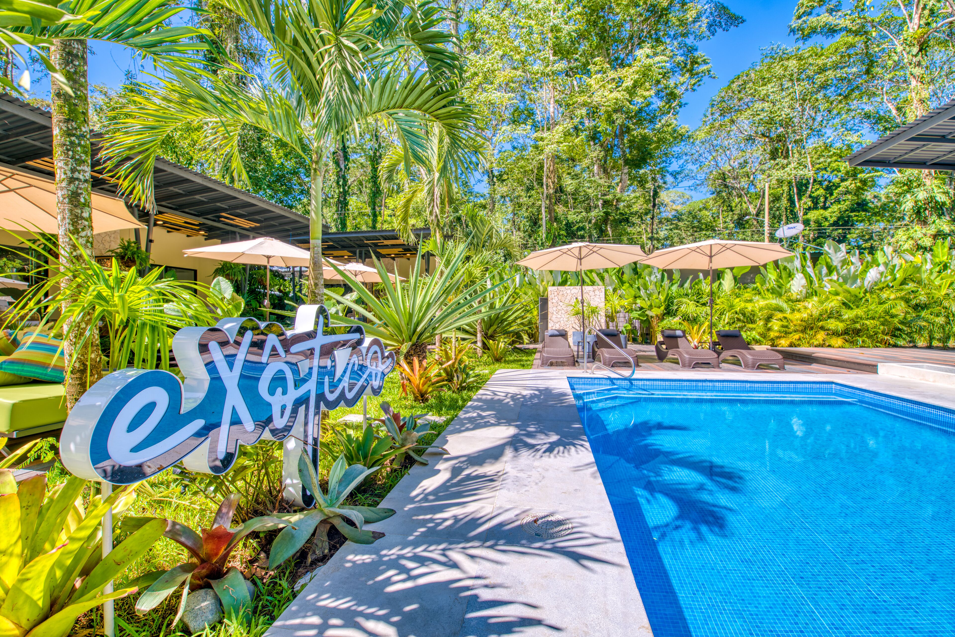 Zona de piscina con sillas de descanso y sombrillas, rodeada de exuberante vegetación y un letrero que dice 'exotic'.