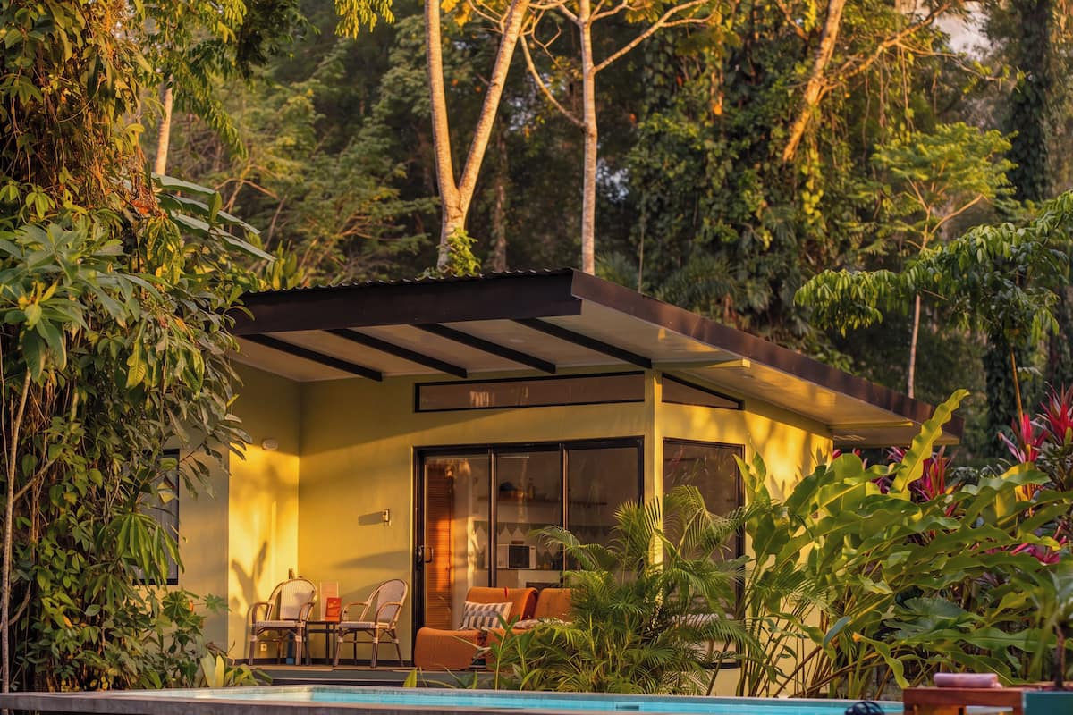Un área de descanso moderna al aire libre con piscina, rodeada de abundante vegetación y árboles.