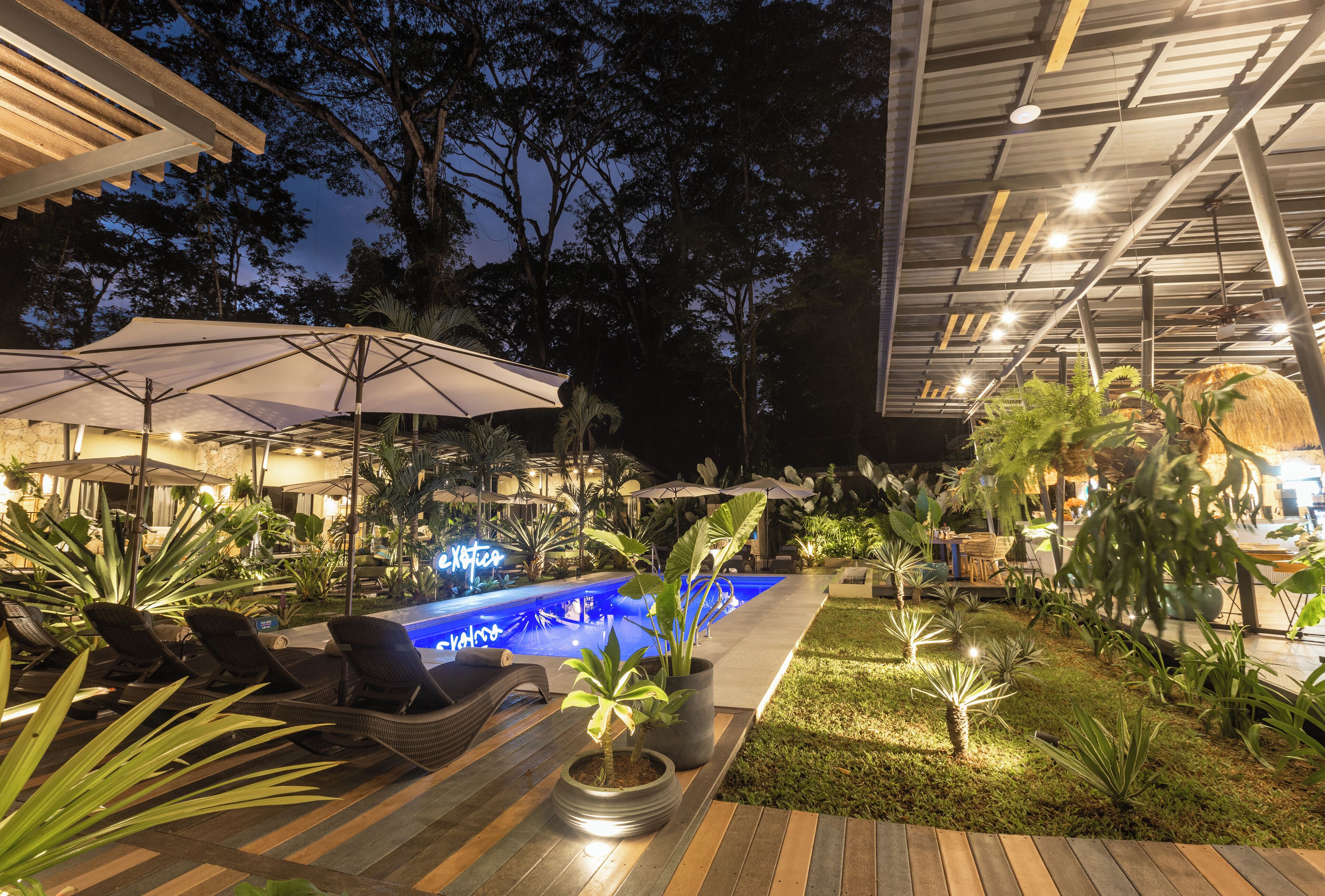 An outdoor pool area with lounge chairs and umbrellas, surrounded by potted plants and a well-lit patio.