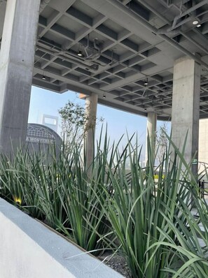 Property grounds - Apartment in front of the Monterrey Arena, Fundidora Park, and Cintermex (Monterrey)