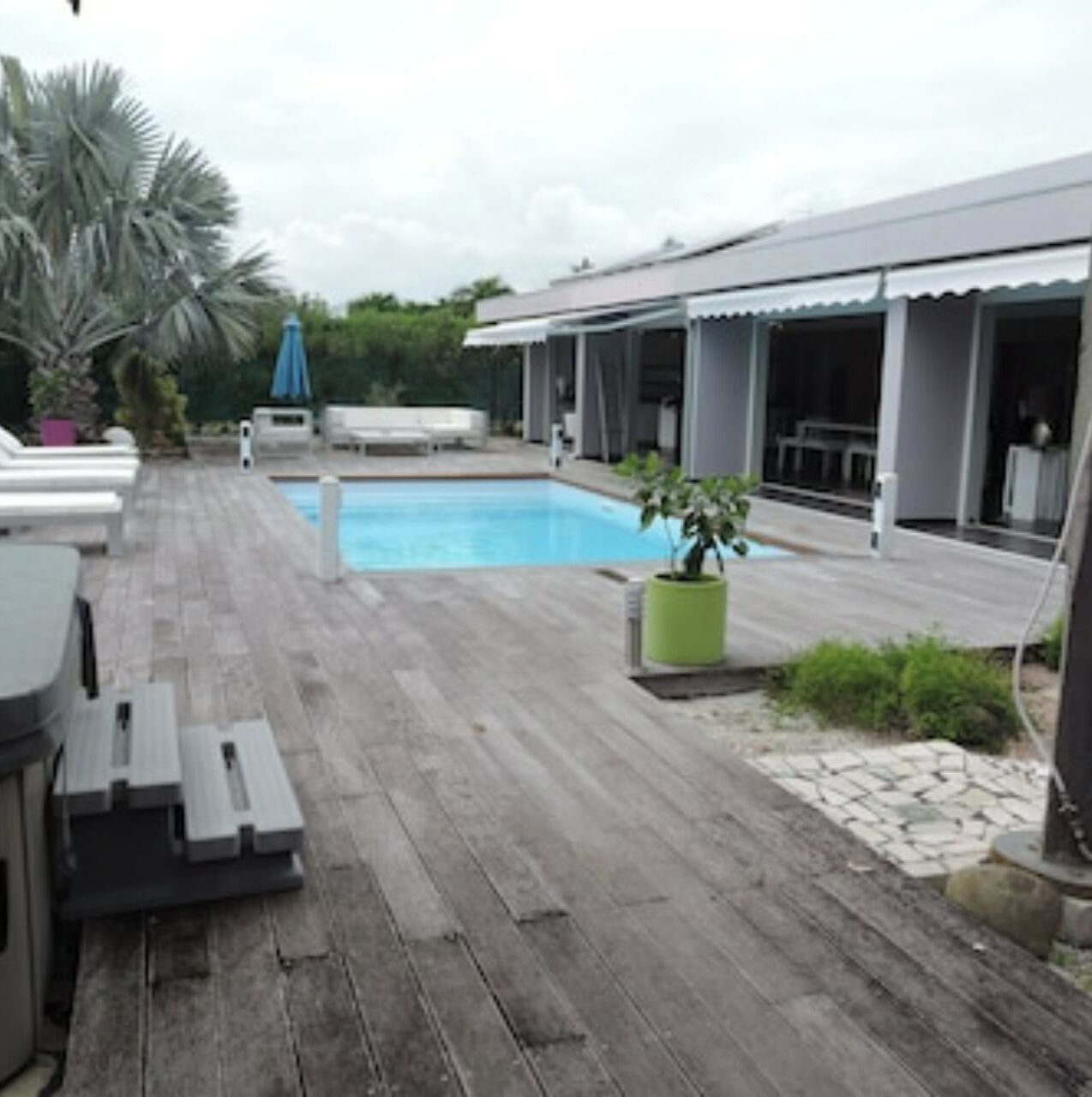 A pool area with a wooden deck, lounge chairs, and a small palm tree.