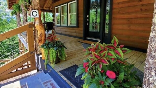 A wooden cabin with a covered porch, large windows, and potted plants. - Cozy cabin in Hot Springs, minutes away from town! (Hot Springs)