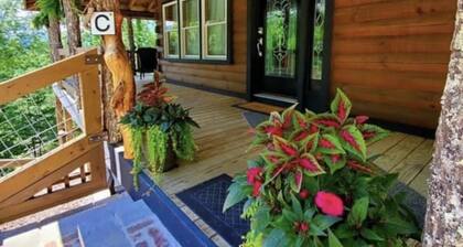 Cozy cabin in Hot Springs, minutes away from town!