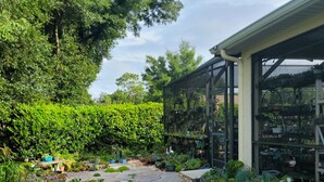 Een tuinpad met staptegels, omringd door diverse potplanten en een tuinhuis.