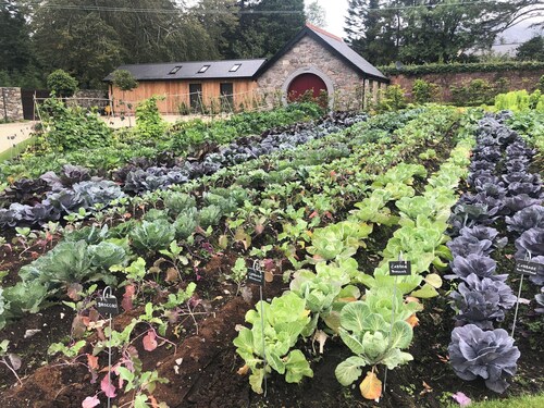 Eldon's Bed & Breakfast 