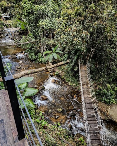 Jungle Glass Box Waterfall View