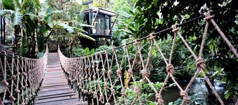 Jungle Glass Box Waterfall View