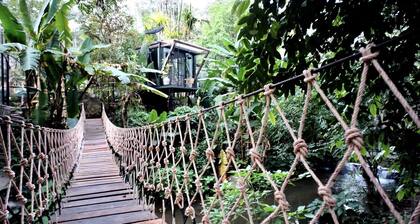 Jungle Glass Box Waterfall View