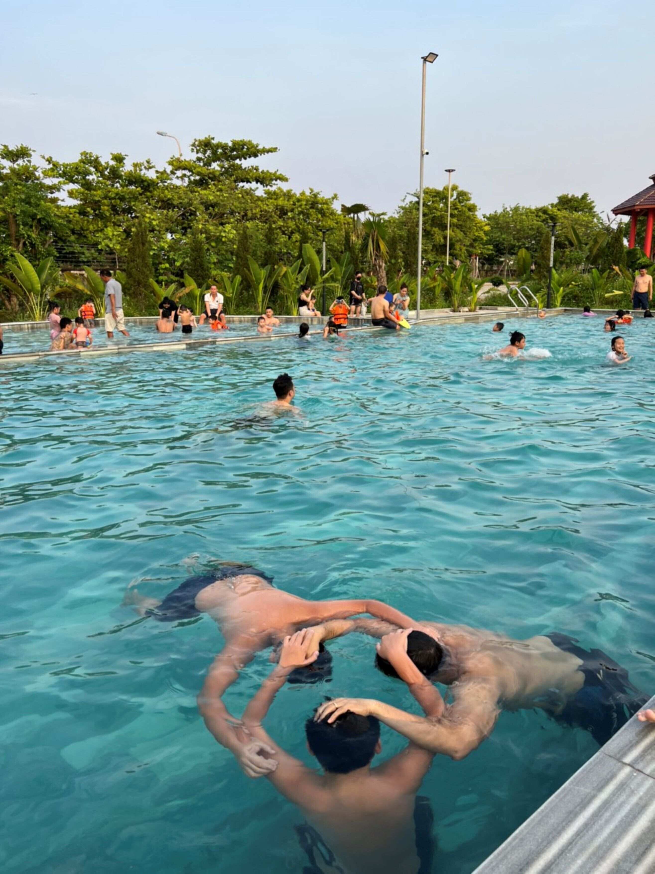 A swimming pool with people in the water, surrounded by greenery and a clear sky.