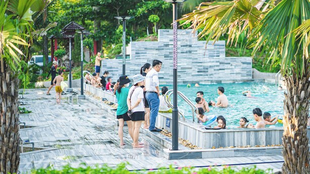Zona de piscina con escalones de acceso al agua, rodeada de palmeras y vegetación.