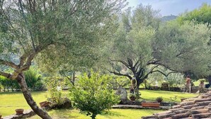 A garden with olive trees, a stone wall, and a tiled roof. - Li Funnesi Villa sleeps 4, 2 bathrooms, A.C and large garden in San Teodoro (San Teodoro)