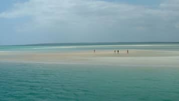 Playa
