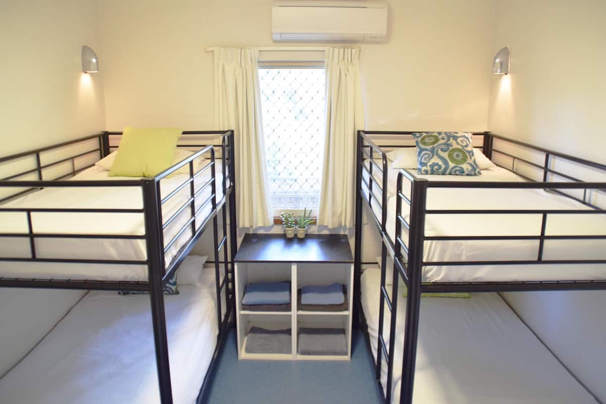A dormitory room with two bunk beds, a small table with potted plants, and a window with curtains.