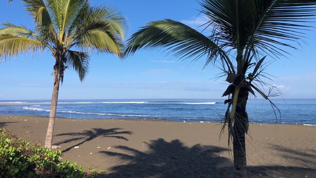 A beach with palm trees and ocean waves. - Bungalow, 10-minute walk from Etang-Salé les Bains beach, sleeps 2 to 4. (L'Étang-Salé)