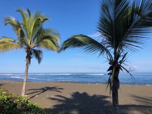 A beach with palm trees and ocean waves.