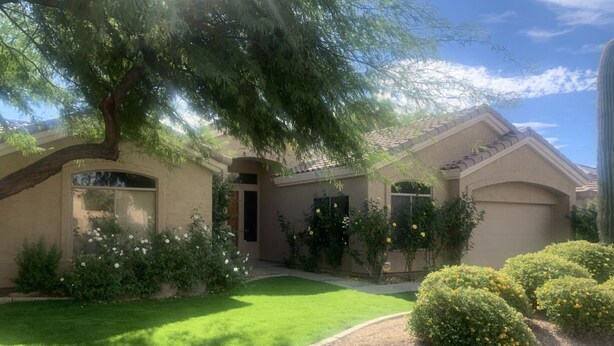 A residential house with a well-maintained lawn, a large tree, and several bushes. - RENT NOW!! 1st Time NEW Rental Grayhawk Luxury Home Near TPC Scottsdale Shopping (Scottsdale)