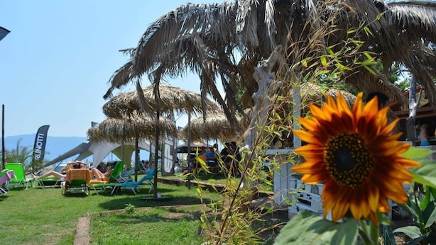Cenário à beira-mar com guarda-sóis de palha, cadeiras de descanso e um girassol em destaque.