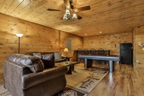 Smart-TV, Kamin