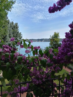 Un balcón con flores púrpuras, vistas a un lago y una orilla distante.