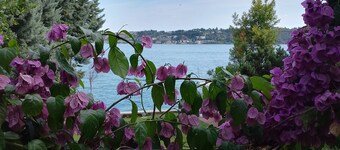 Holiday House Camillina