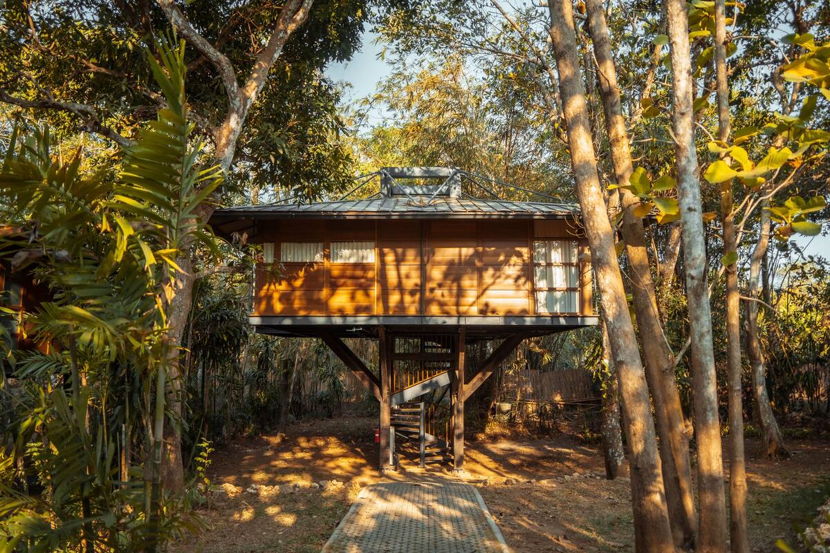 A wooden treehouse with a staircase leading up to it, surrounded by dense foliage.
