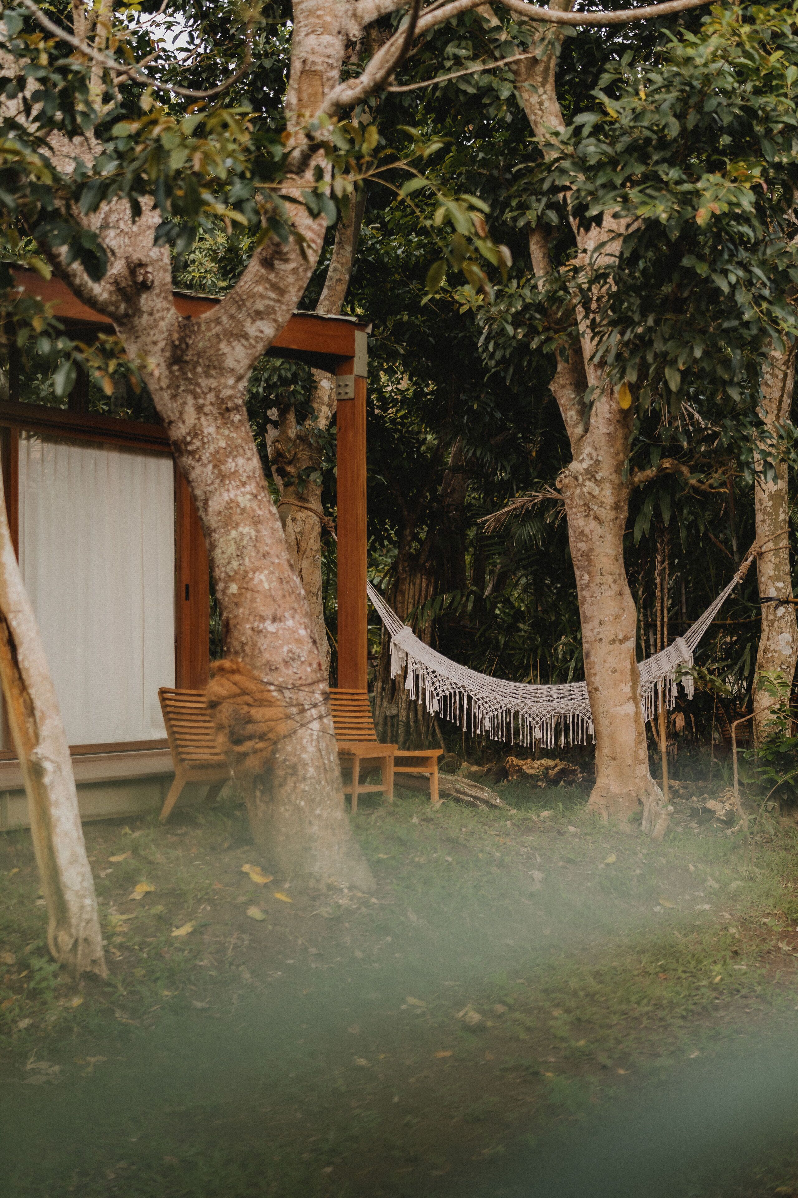 A hammock between trees, wooden chairs, and a covered area with a door.