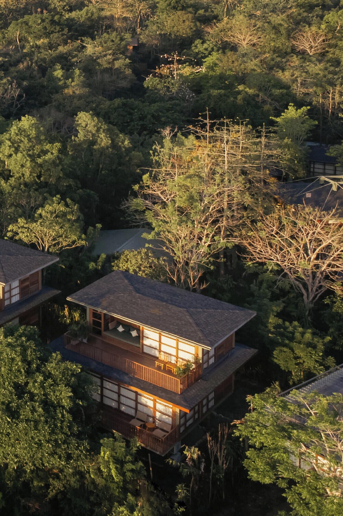 Una casa de madera de varios pisos rodeada de un bosque frondoso.