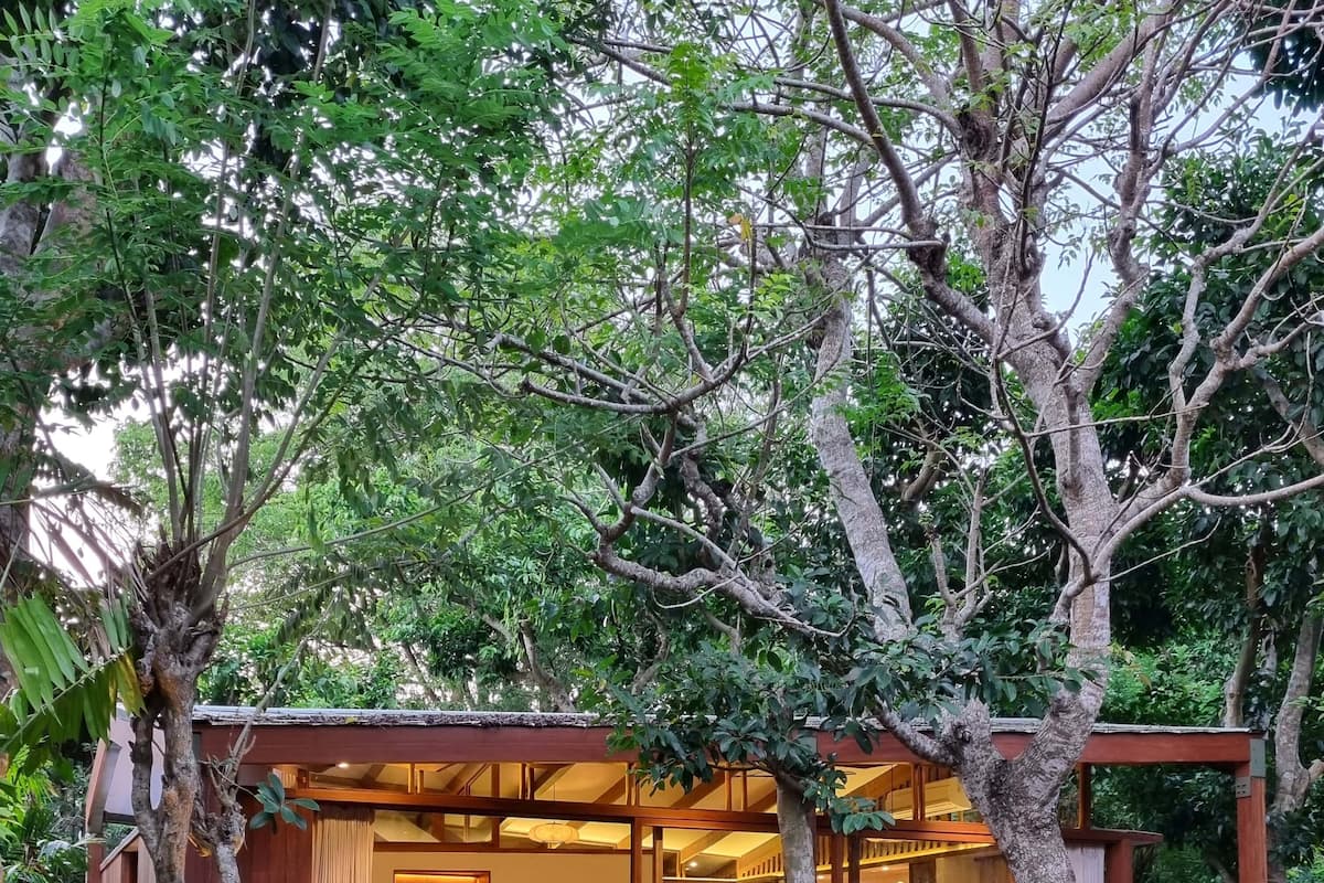 A treehouse with a wooden deck, a bed, and a small bathroom.