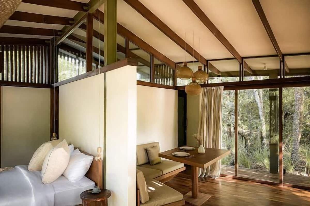 A modern interior with a wooden ceiling, a sofa, a dining table, and large windows offering a view of greenery.