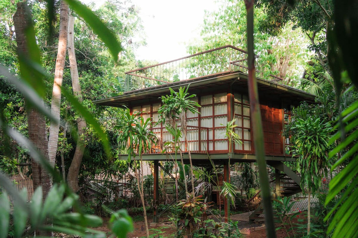 A wooden structure with a balcony, surrounded by dense foliage.