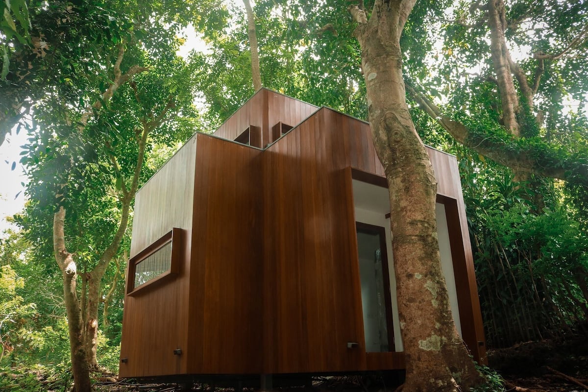 A wooden treehouse with a simple design, surrounded by dense forest.