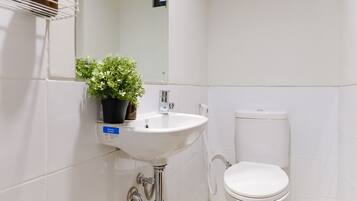 A bathroom with a white sink, a toilet, and a potted plant.