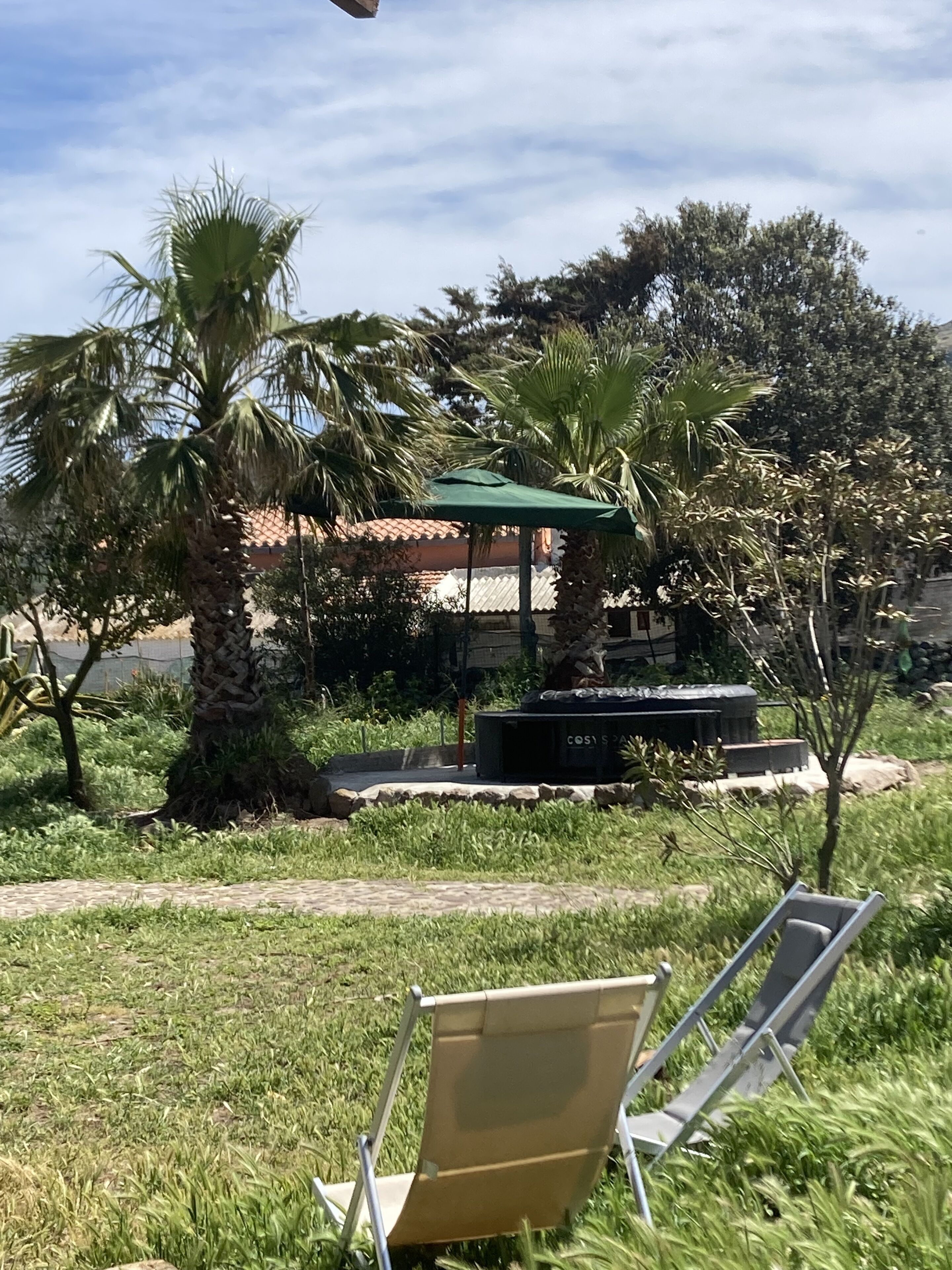 A garden area with palm trees, a gazebo, and two lounge chairs.