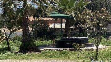 A garden area with palm trees, a gazebo, and two lounge chairs.