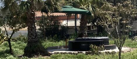 A garden area with palm trees, a gazebo, and two lounge chairs.