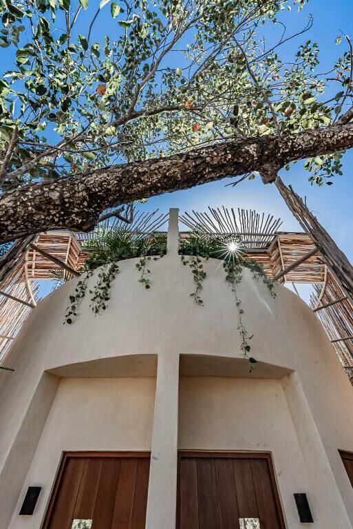 Photo - Taio Tulum
