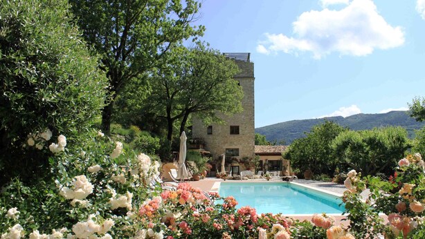 A pool surrounded by lush greenery and white roses, with a stone building and a mountain in the background. - 'Torre del Falco', a wonderful medieval tower in Spoleto (Spoleto)