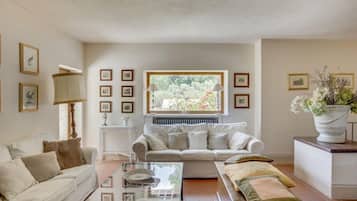Smart TV, fireplace, DVD player, books