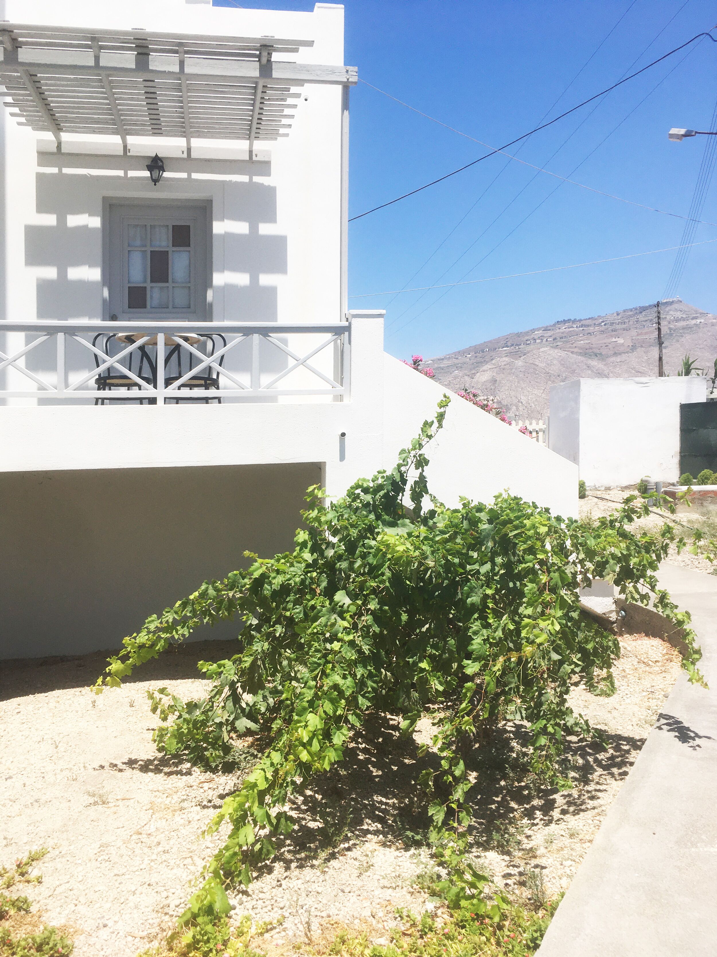 A white building with a balcony, a small garden with green plants, and a clear blue sky.
