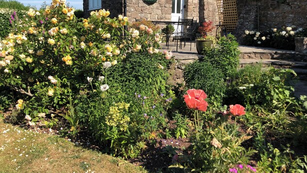 A stone building with a patio area, surrounded by lush gardens with various flowering plants. - Pet friendly 'Home from Home in the Wye Valley Wales (Chepstow)