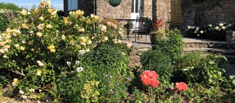 Pet friendly 'Home from Home in the Wye Valley Wales